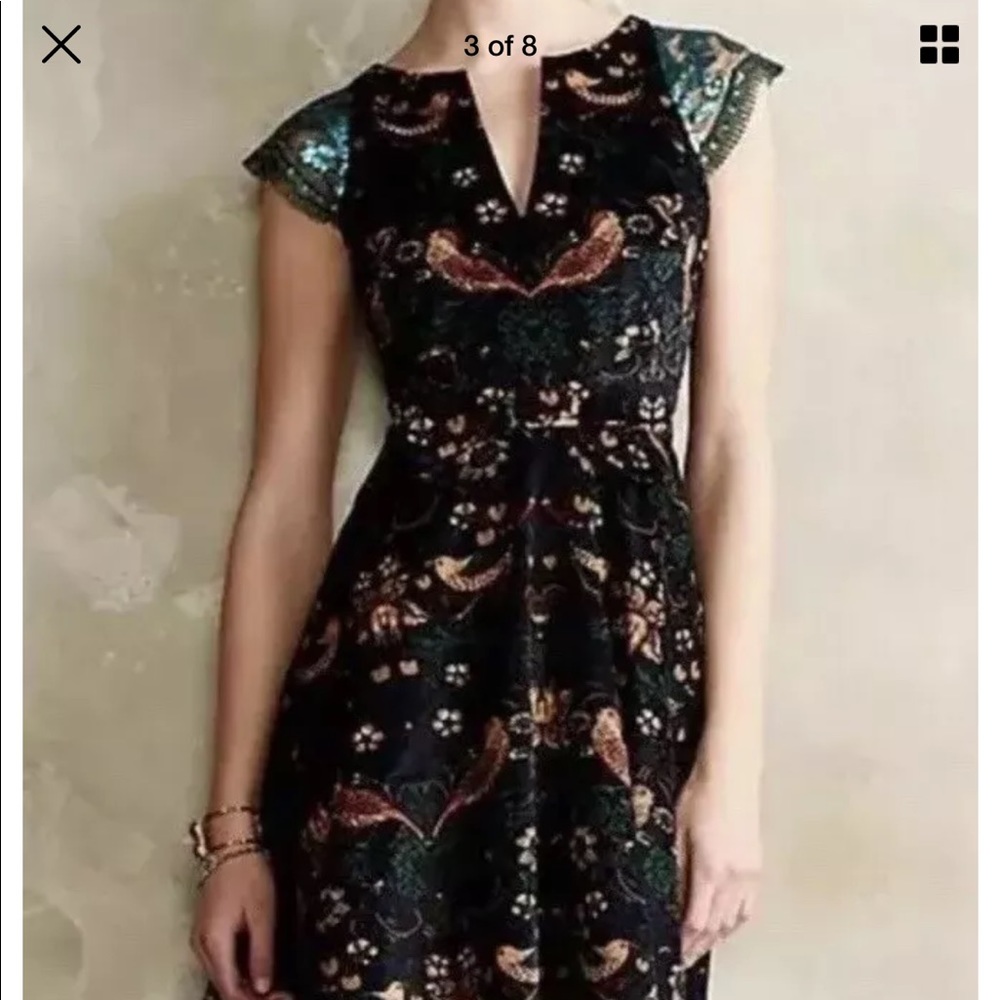 ISO Eva Franco Larksong dress